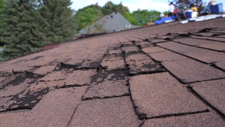 Best Slate Roofing  in Wilson, OK