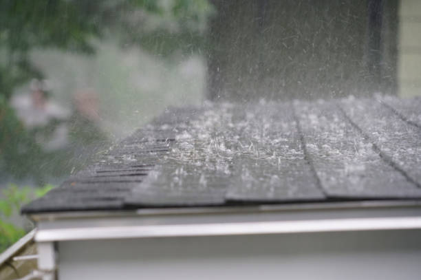 Best Roof Moss and Algae Removal  in Wilson, OK