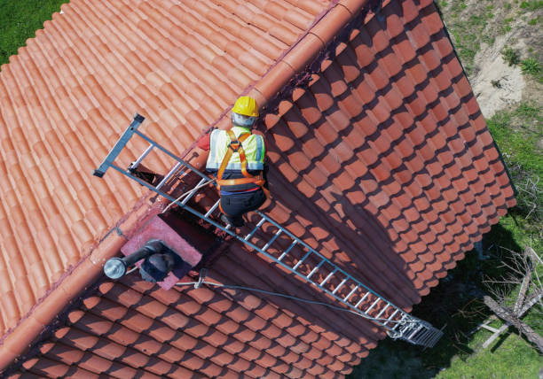 Best Roof Coating and Sealing  in Wilson, OK